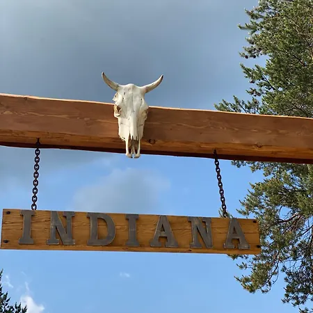 Indiana فيلة ديفين