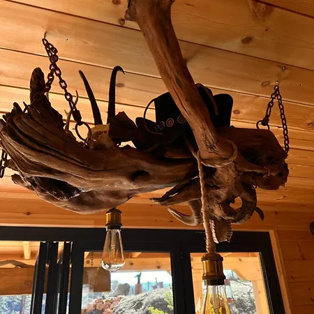 فيلة Indiana ديفين